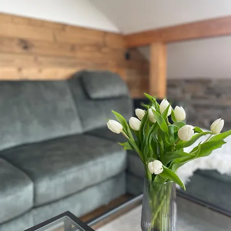 Apartment Mellie's Willingen