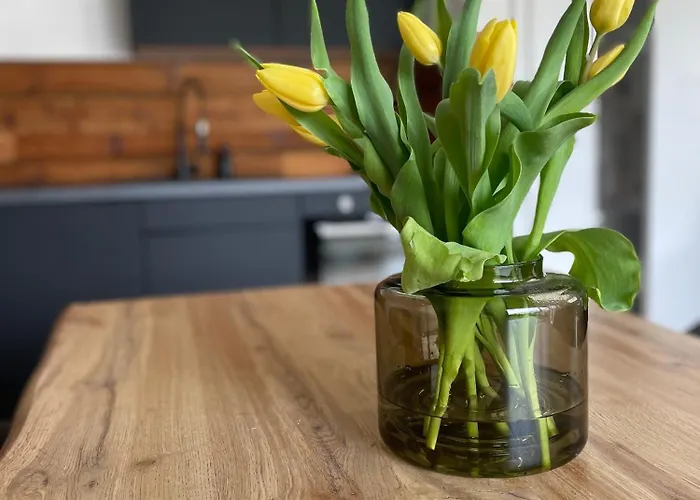 Appartement Mellie's *